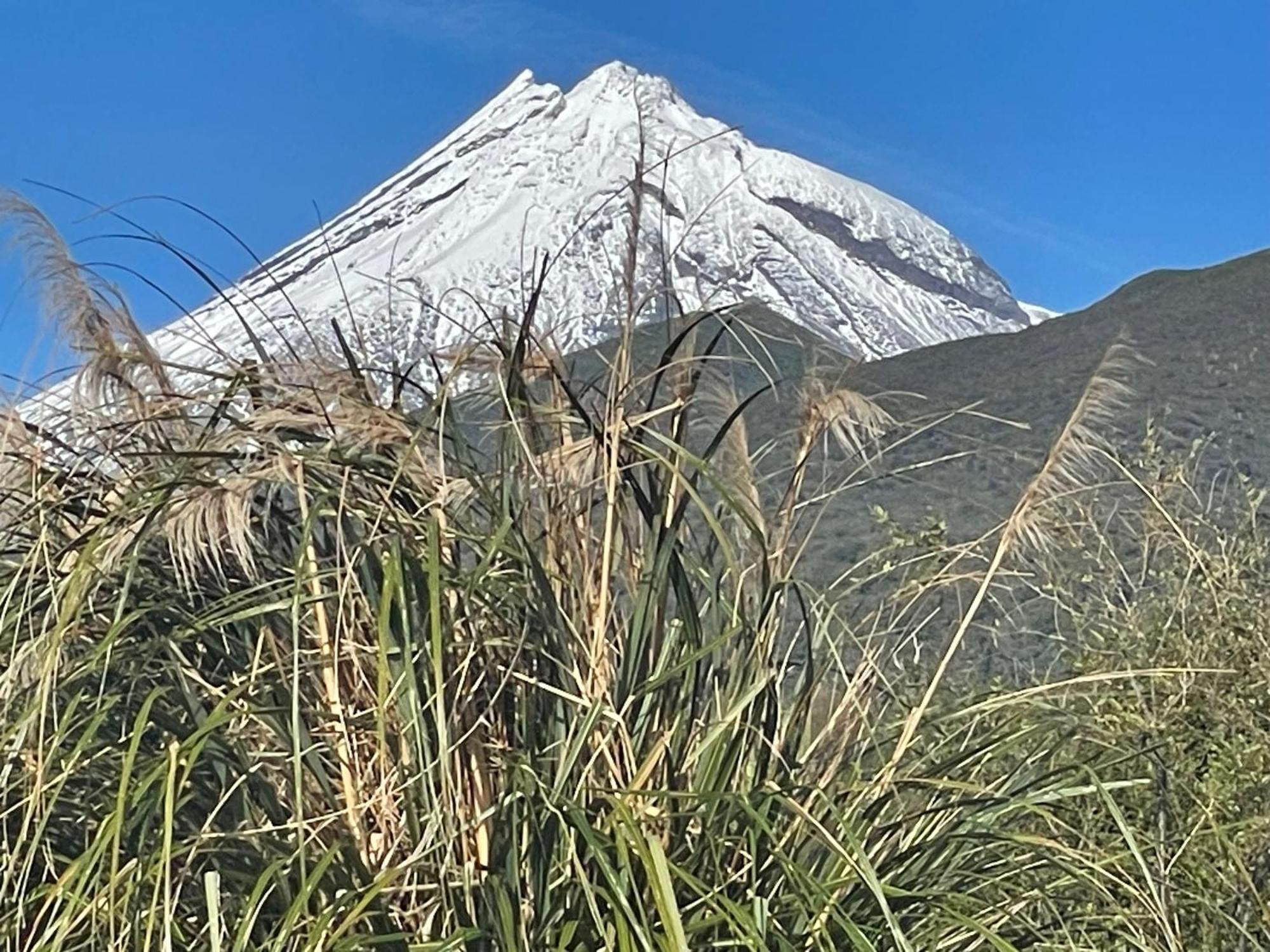 Mangorei Heights - New Plymouth Exterior foto
